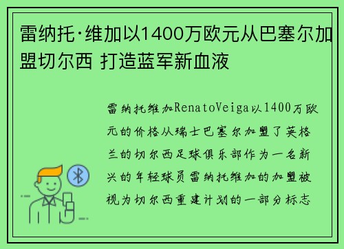 雷纳托·维加以1400万欧元从巴塞尔加盟切尔西 打造蓝军新血液